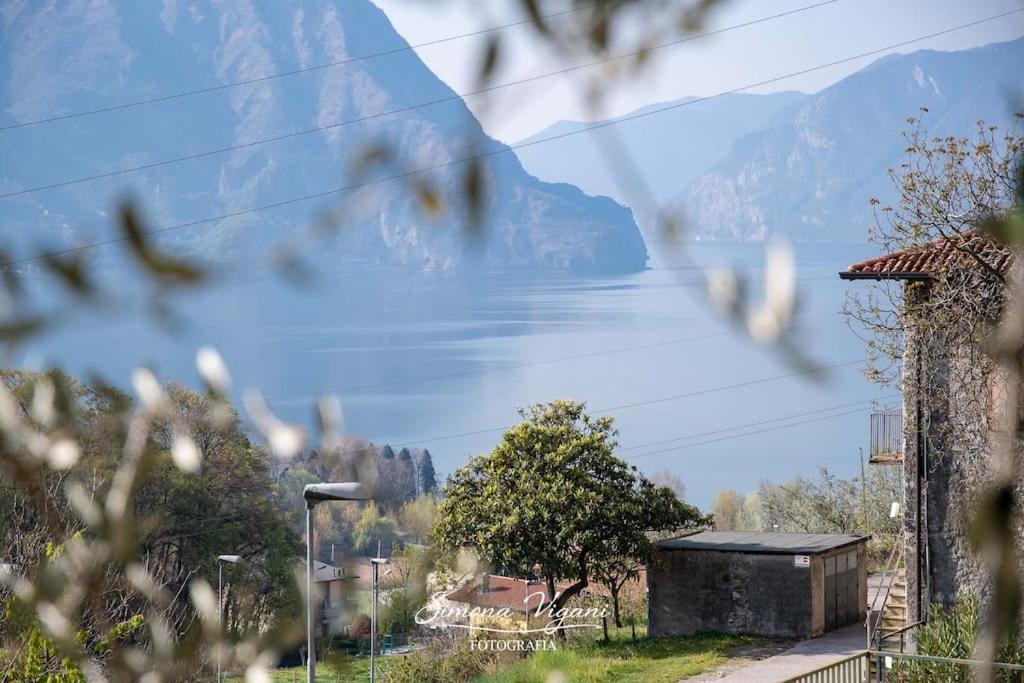 Il Giardino Di Laura Daire Costa Volpino Dış mekan fotoğraf